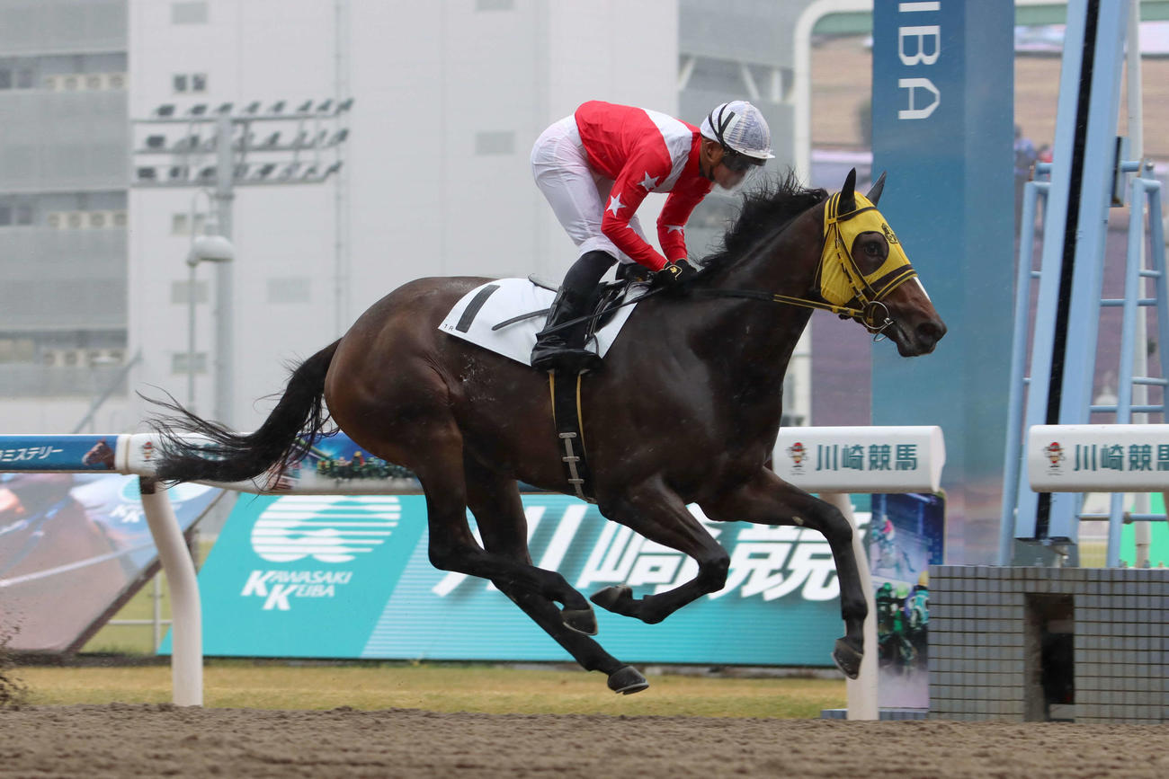 川崎1Rをエレノーラで制し、地方競馬通算200勝を達成した川崎の野畑凌騎手