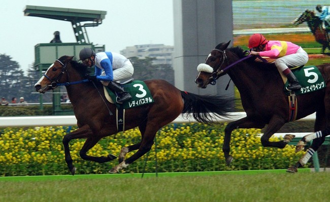 03年中山牝馬Sで、大庭騎手騎乗のテンエイウイング（右）は14番人気で2着と激走した