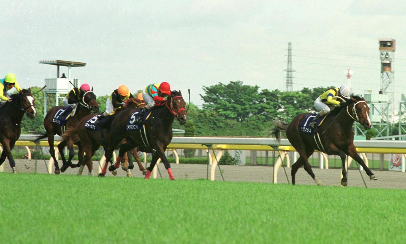 直線抜け出したテレグノシス（右）がアグネスソニック（中央）に1馬身3／4差を付けNHKマイルCを快勝。鞍上の勝浦正樹騎手は（2002年5月4日撮影）