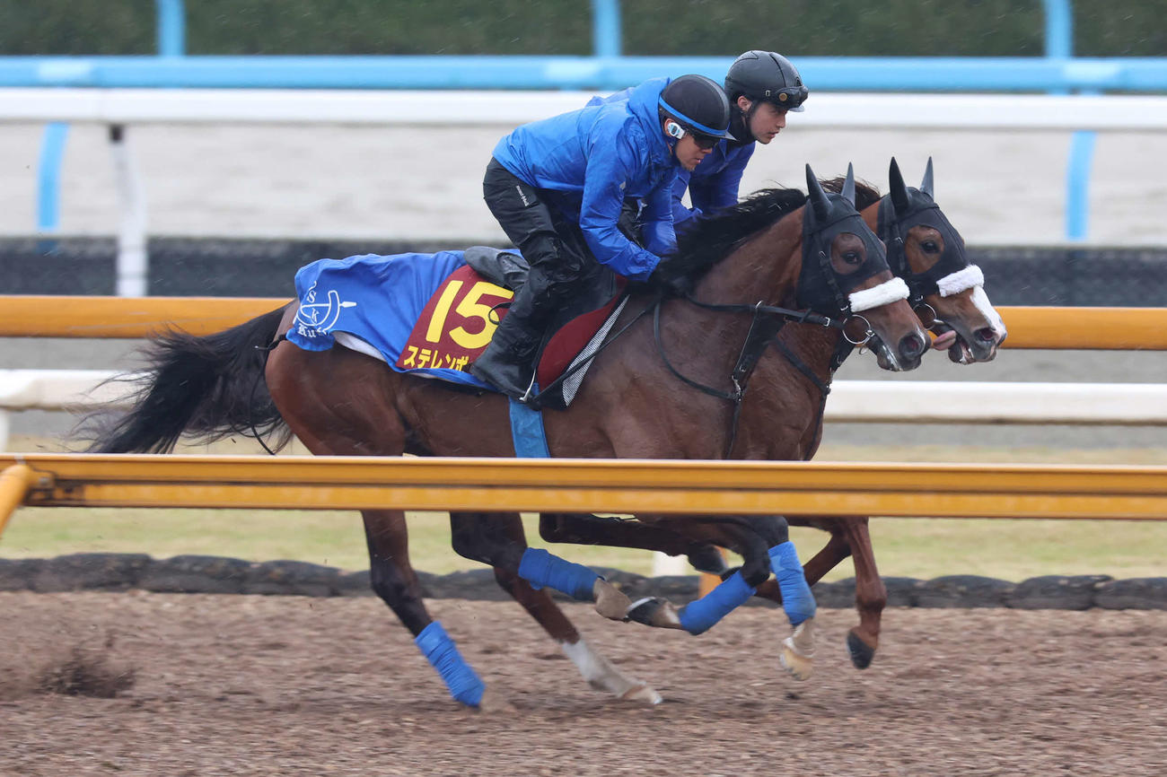 ステレンボッシュ（手前）（2024年4月3日撮影）