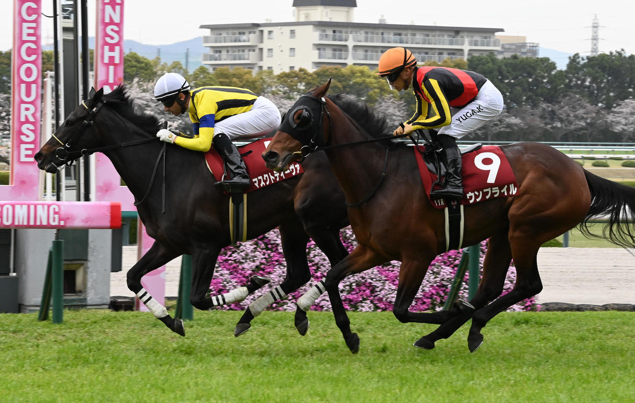 阪神牝馬Sを制したマスクトディーヴァ（撮影・前岡正明）