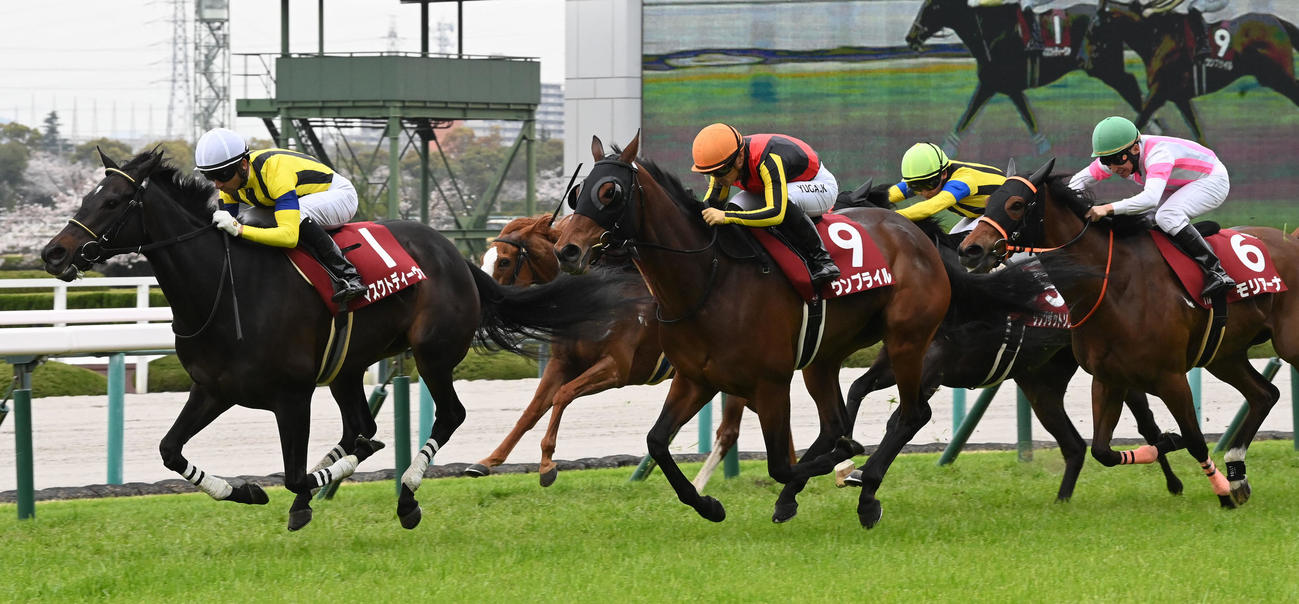 阪神牝馬Sを制したマスクトディーヴァ（撮影・前岡正明）