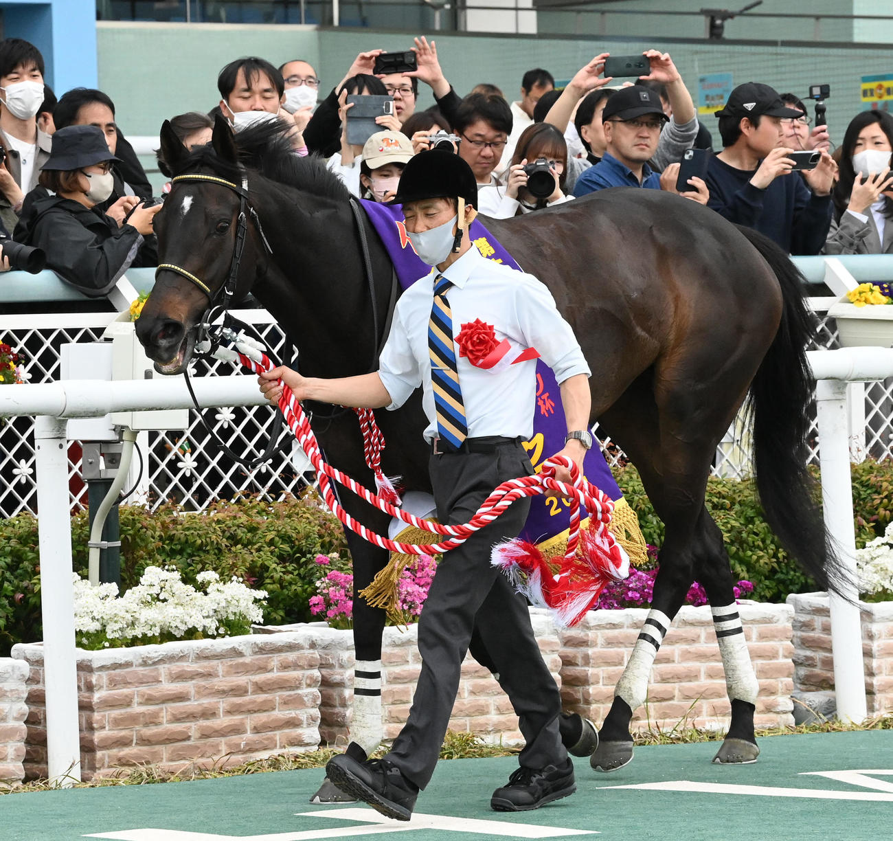 阪神牝馬Sを制したマスクトディーヴァ（撮影・前岡正明）