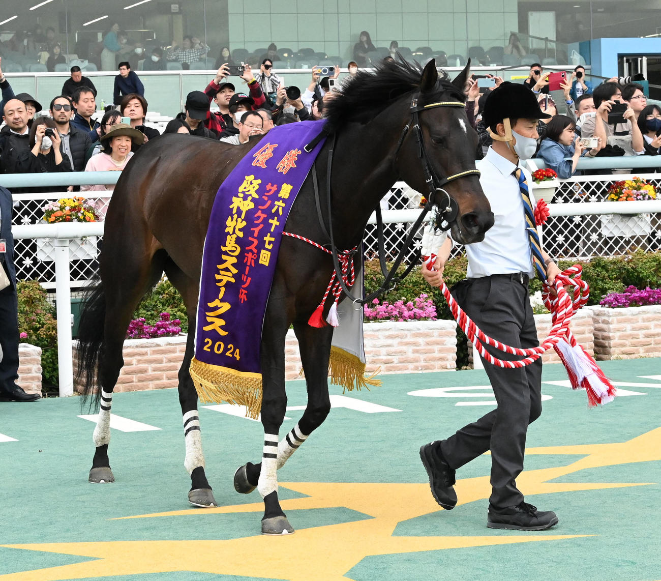 阪神牝馬Sを制したマスクトディーヴァ（撮影・前岡正明）