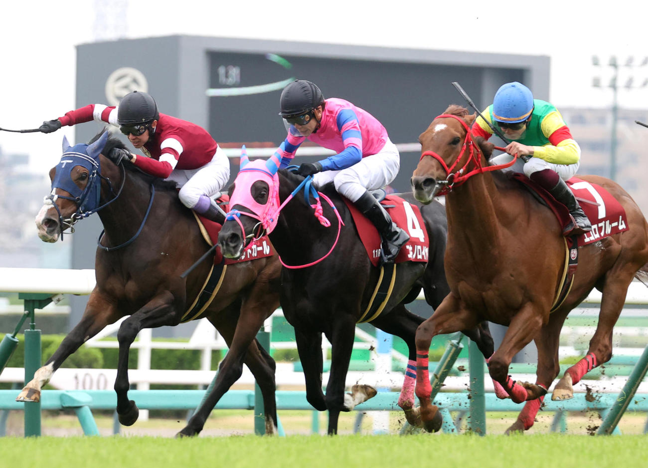 ニュージーランドT3着のユキノロイヤル（中央）。右は勝ったエコロブルーム（撮影・柴田隆二）