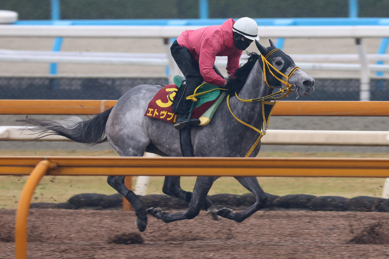3日、藤岡康太騎手を背に追い切ったエトヴプレ