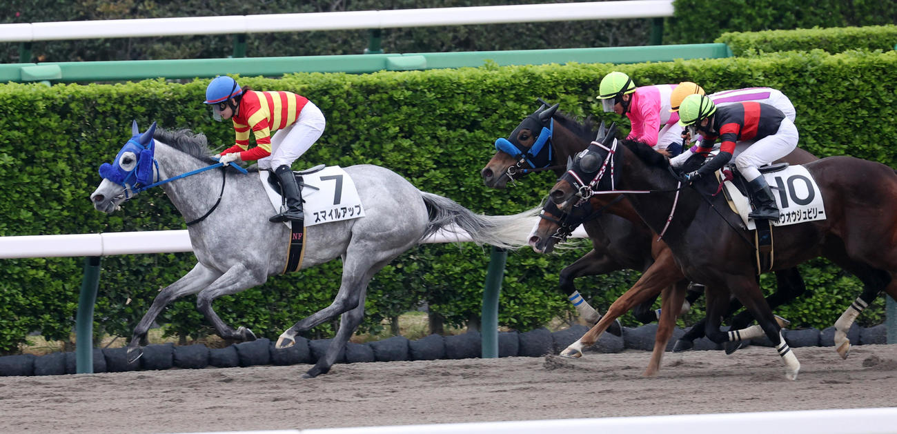 中山12Rを制したスマイルアップと藤田菜七子騎手（撮影・柴田隆二）