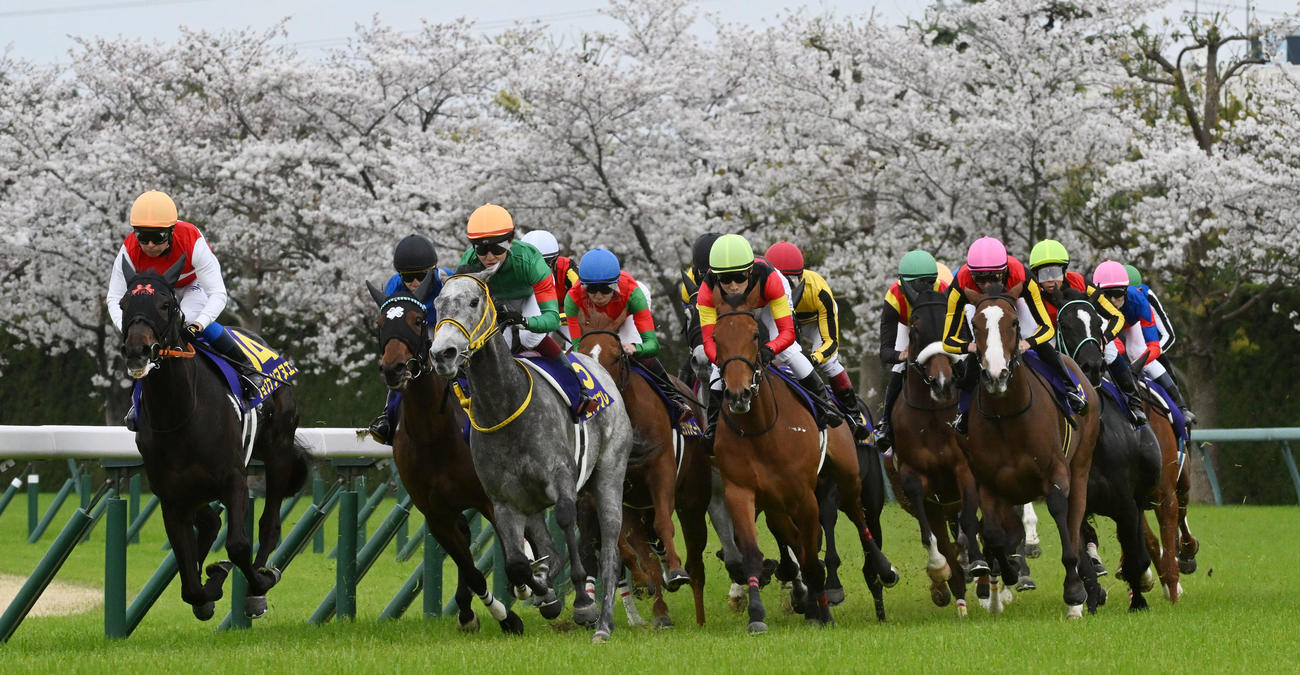 4コーナーを回る各馬（撮影・前岡正明）
