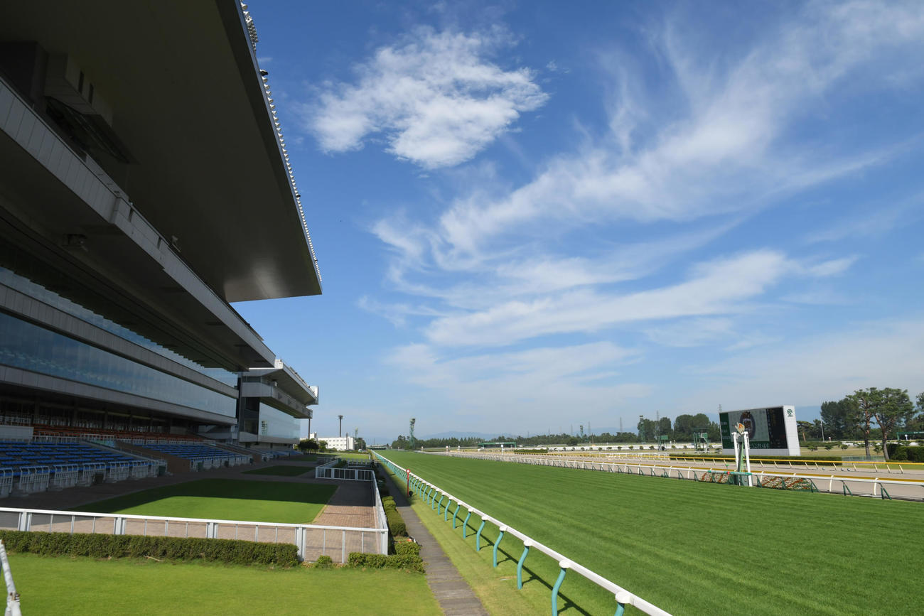 新潟競馬場（2018年7月27日撮影）