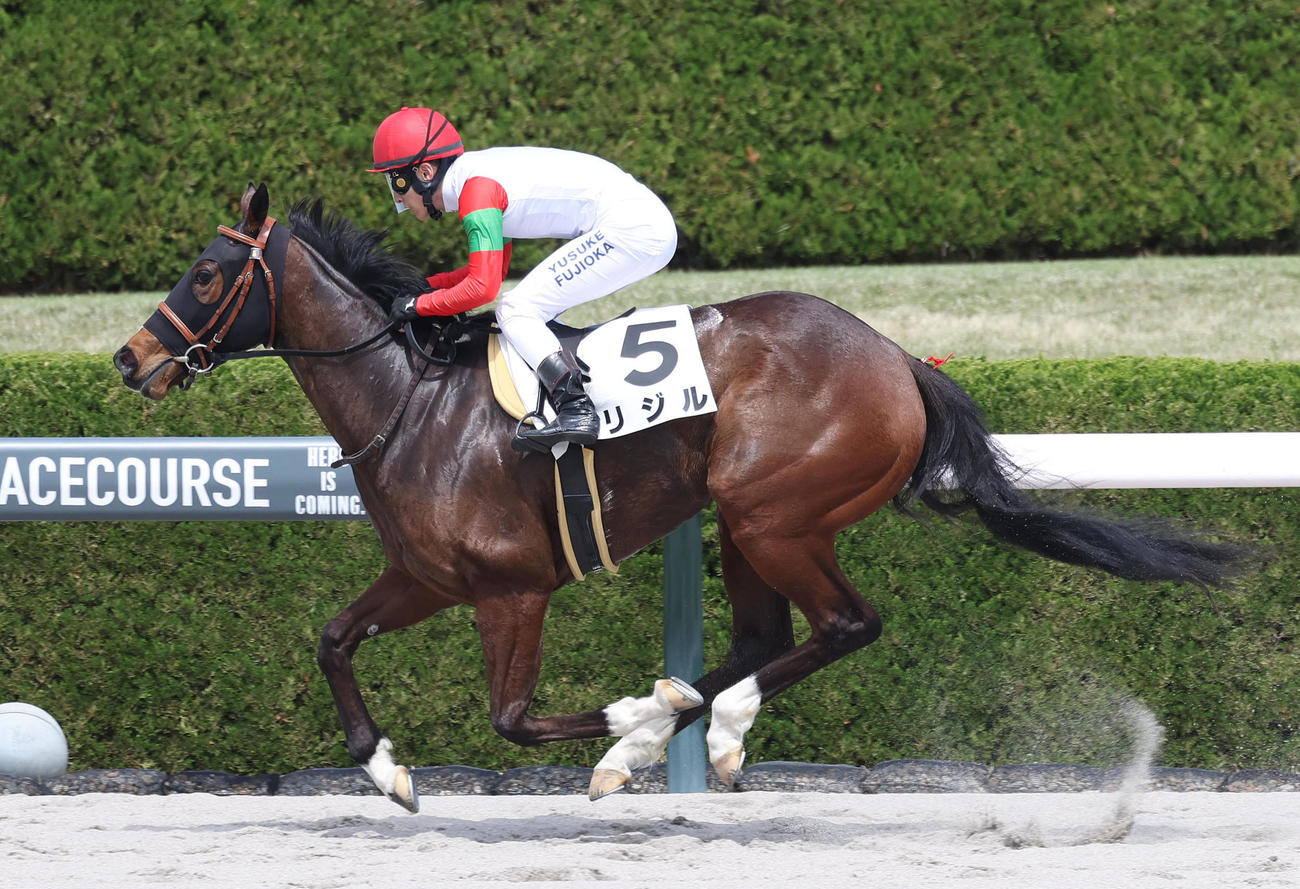 阪神5R、3歳1勝クラスを制したリジル（撮影・白石智彦）
