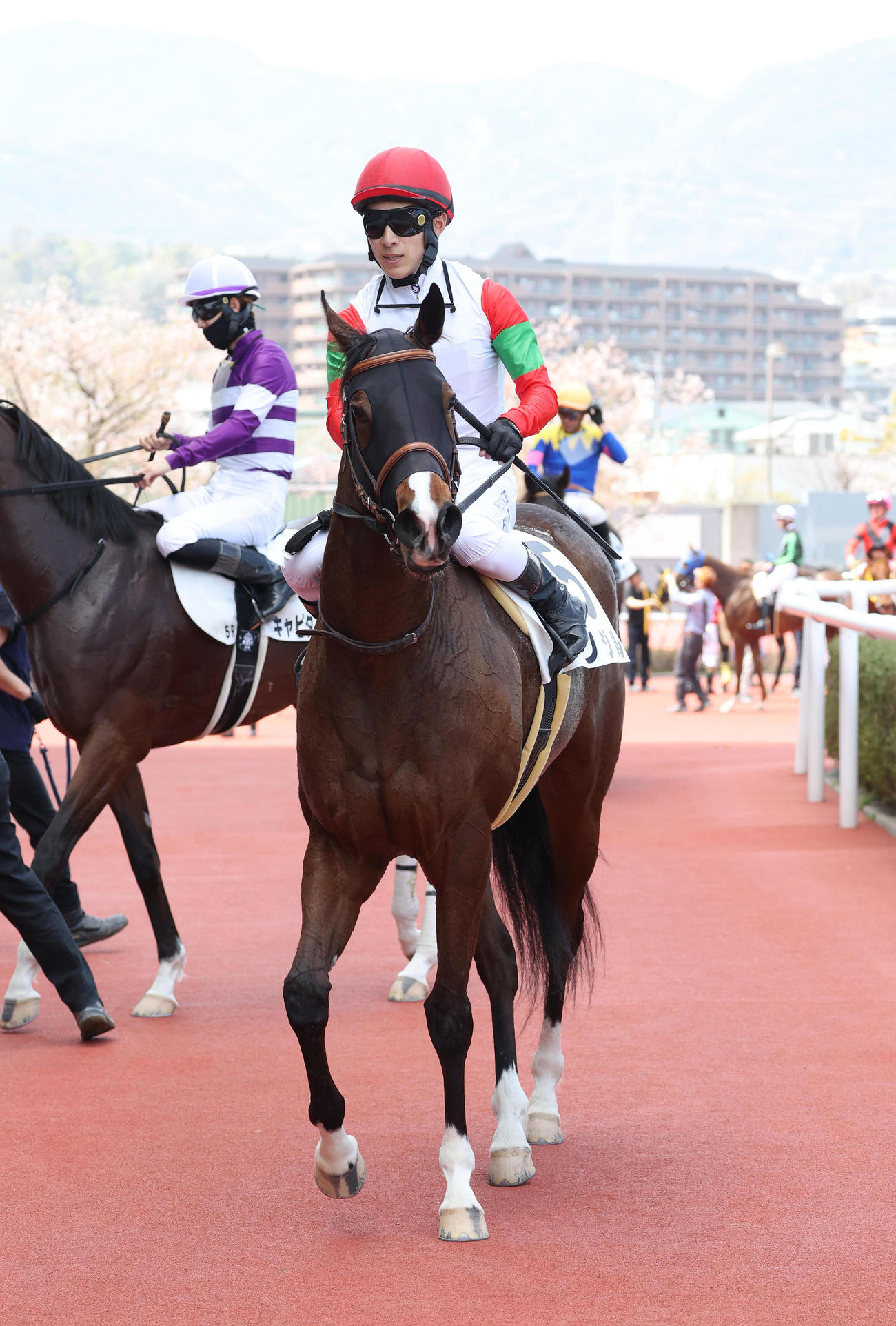 阪神5R、3歳1勝クラスを制したリジル（撮影・白石智彦）