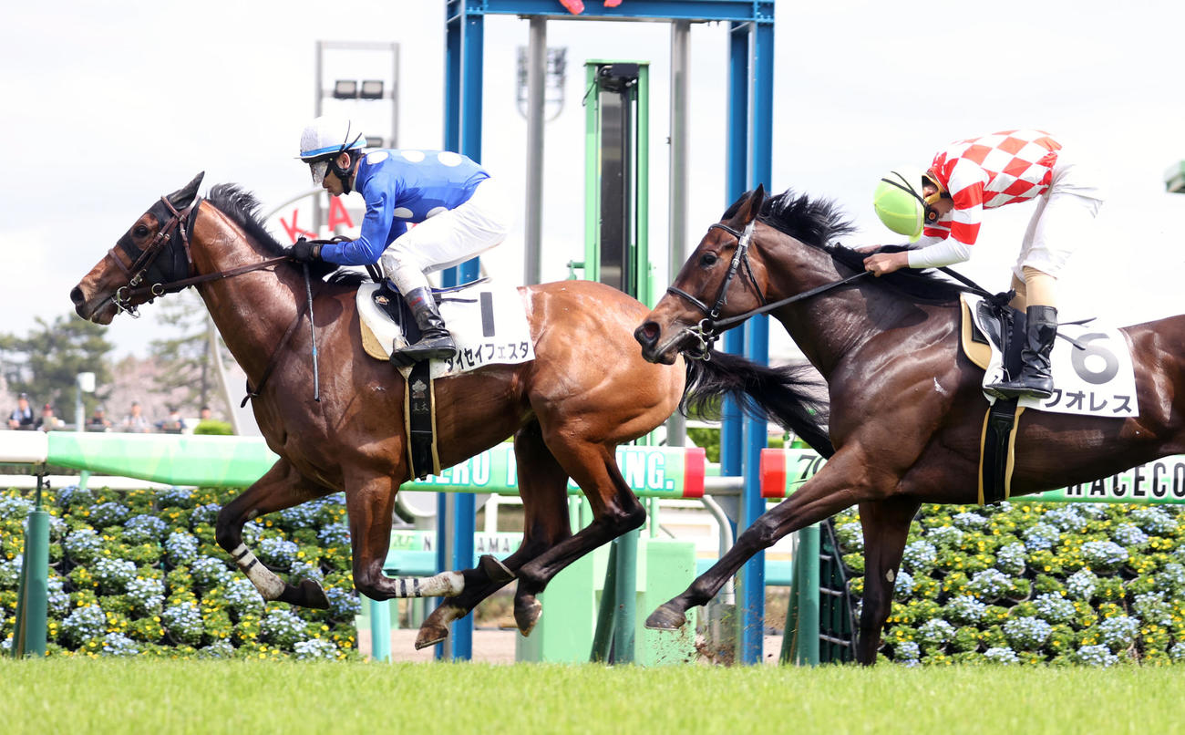 中山7R・1着タイセイフェスタ（左）、2着クオレス（撮影・柴田隆二）