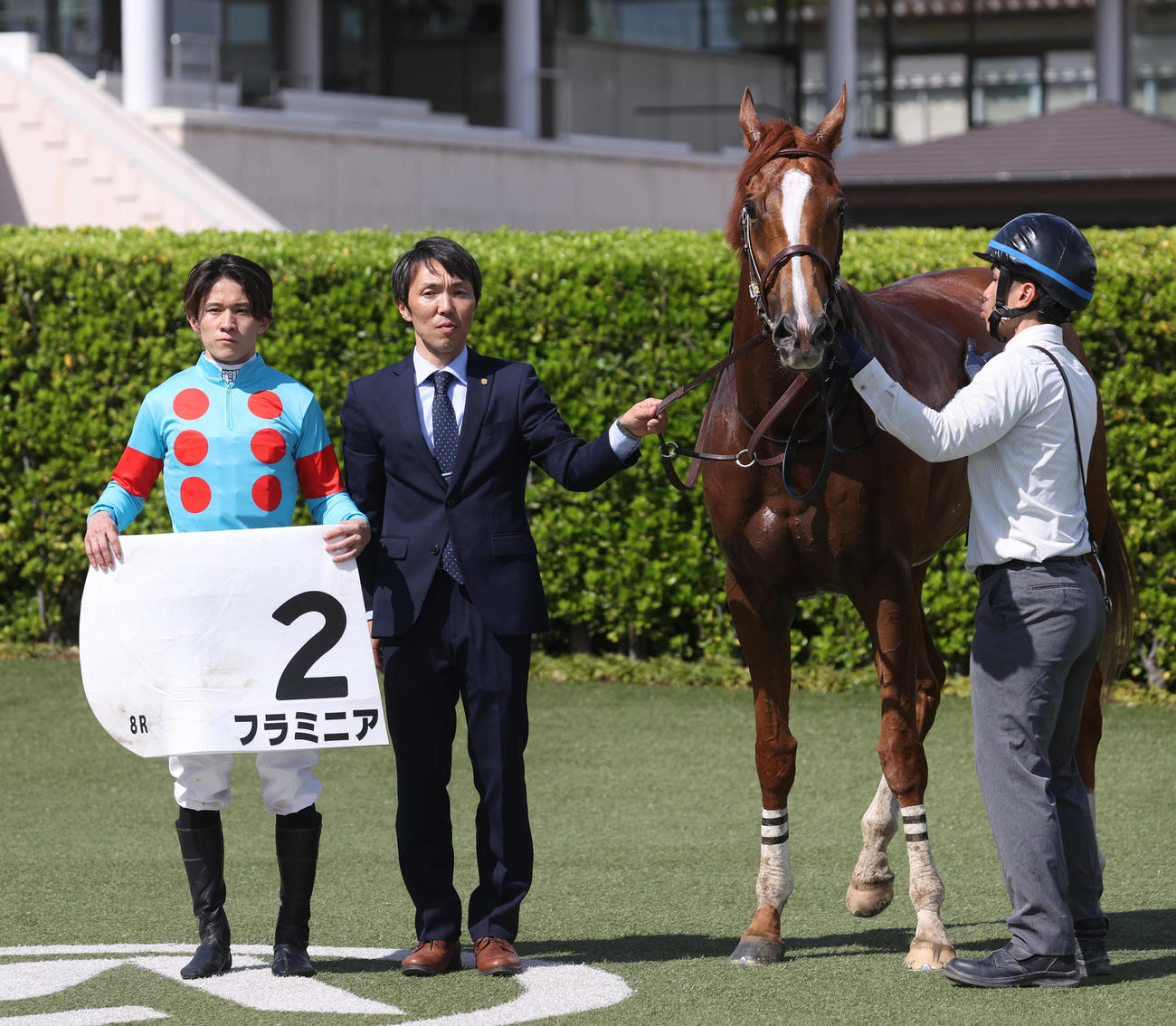中山8R・1着フラミニアと石川騎手（左）、2勝目を挙げた森一調教師（中央）（撮影・柴田隆二）