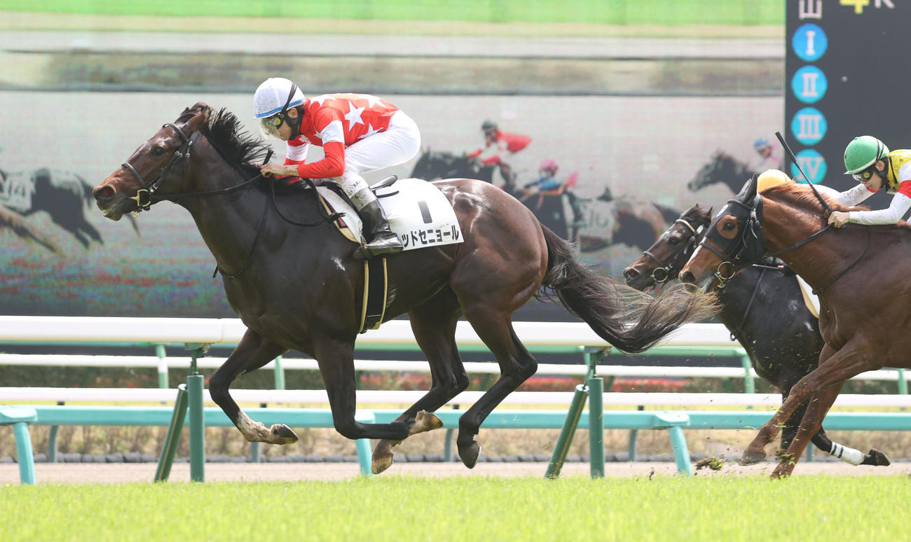 中山4R1着レッドセニョールと横山和生騎手（撮影・柴田隆二）
