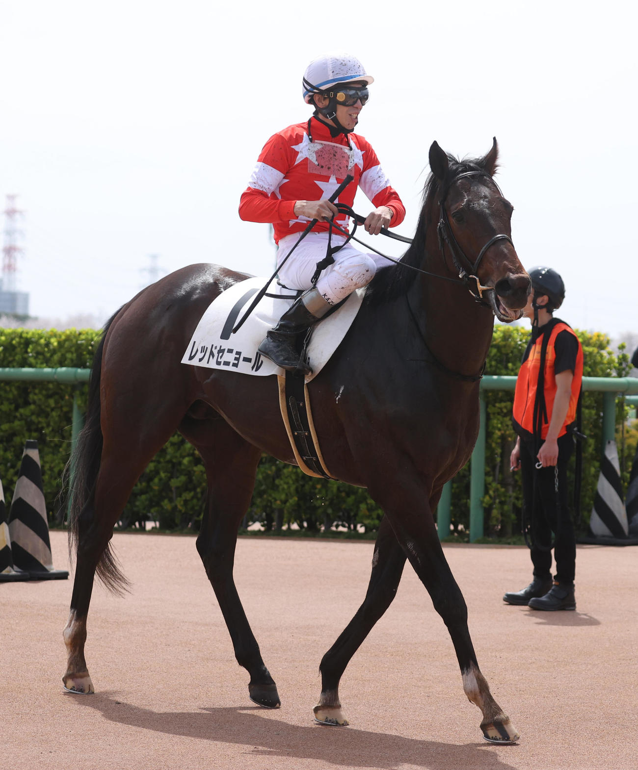 中山4R1着レッドセニョールと横山和生騎手（撮影・柴田隆二）