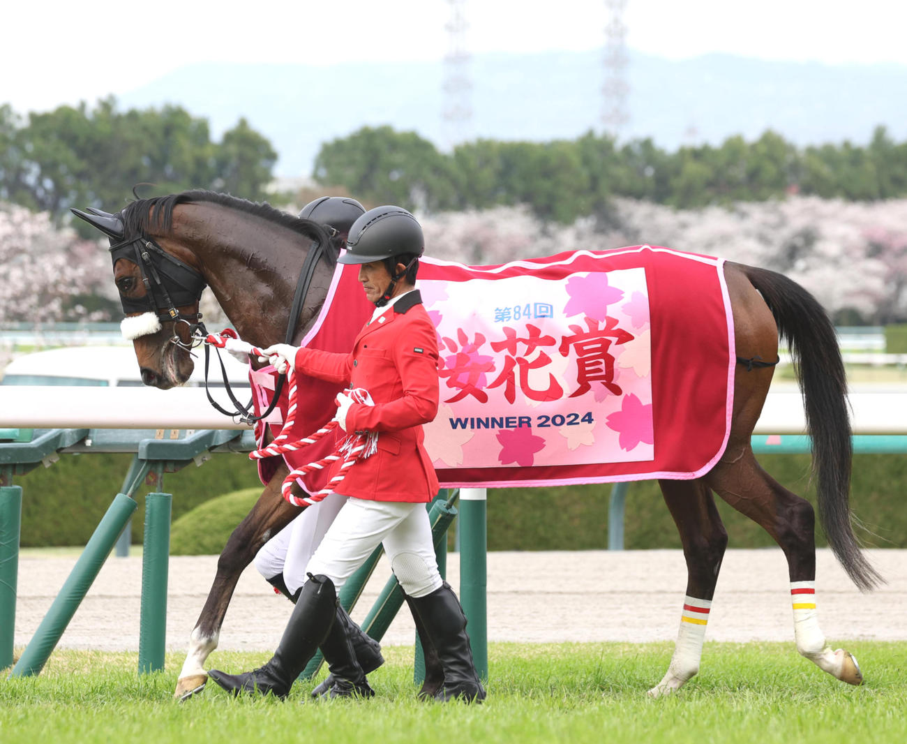 桜花賞を制したステレンボッシュ（撮影・白石智彦）