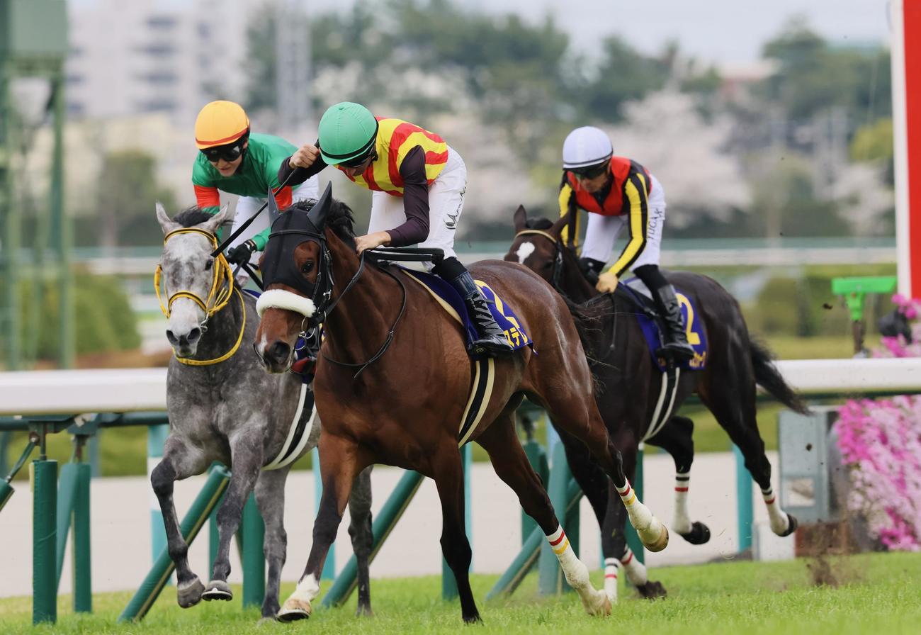 桜花賞を制したステレンボッシュとモレイラ騎手（撮影・加藤哉）