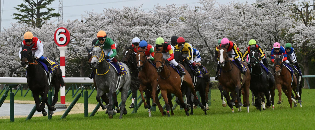 4コーナーを回る各馬（撮影・前岡正明）
