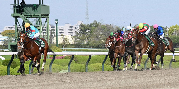 ＜アンタレスS＞◇4月14日＝阪神◇G3◇ダート1800メートル◇4歳以上オープン