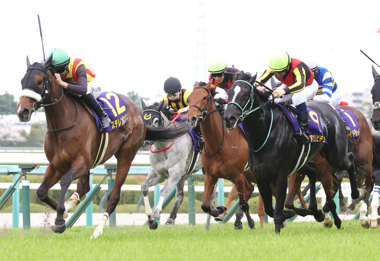桜花賞2着に敗れたアスコリピチェーノ（右）。左は勝ったステレンボッシュ（撮影・白石智彦）