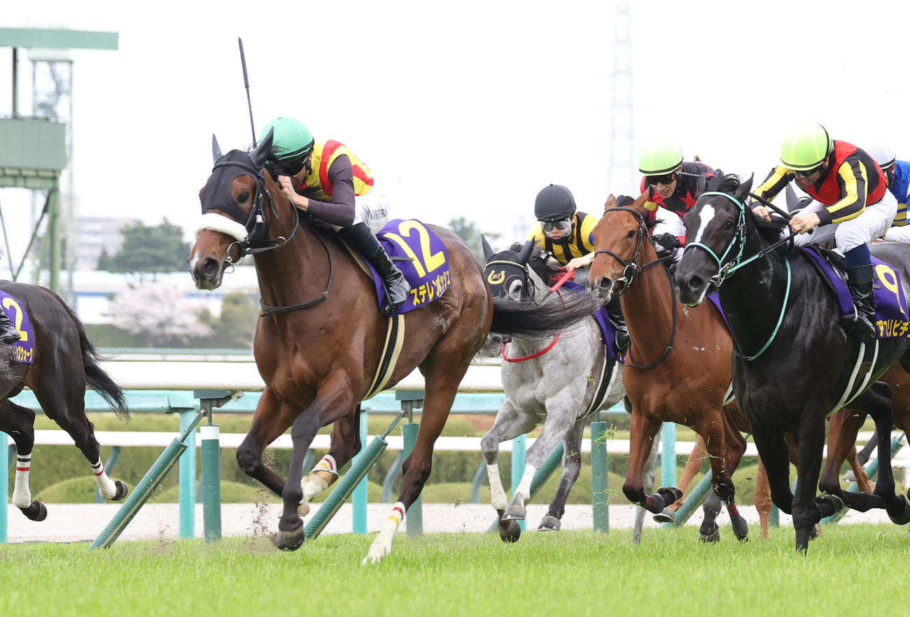 直線抜け出して桜花賞を制したステレンボッシュ（左）（撮影・白石智彦）