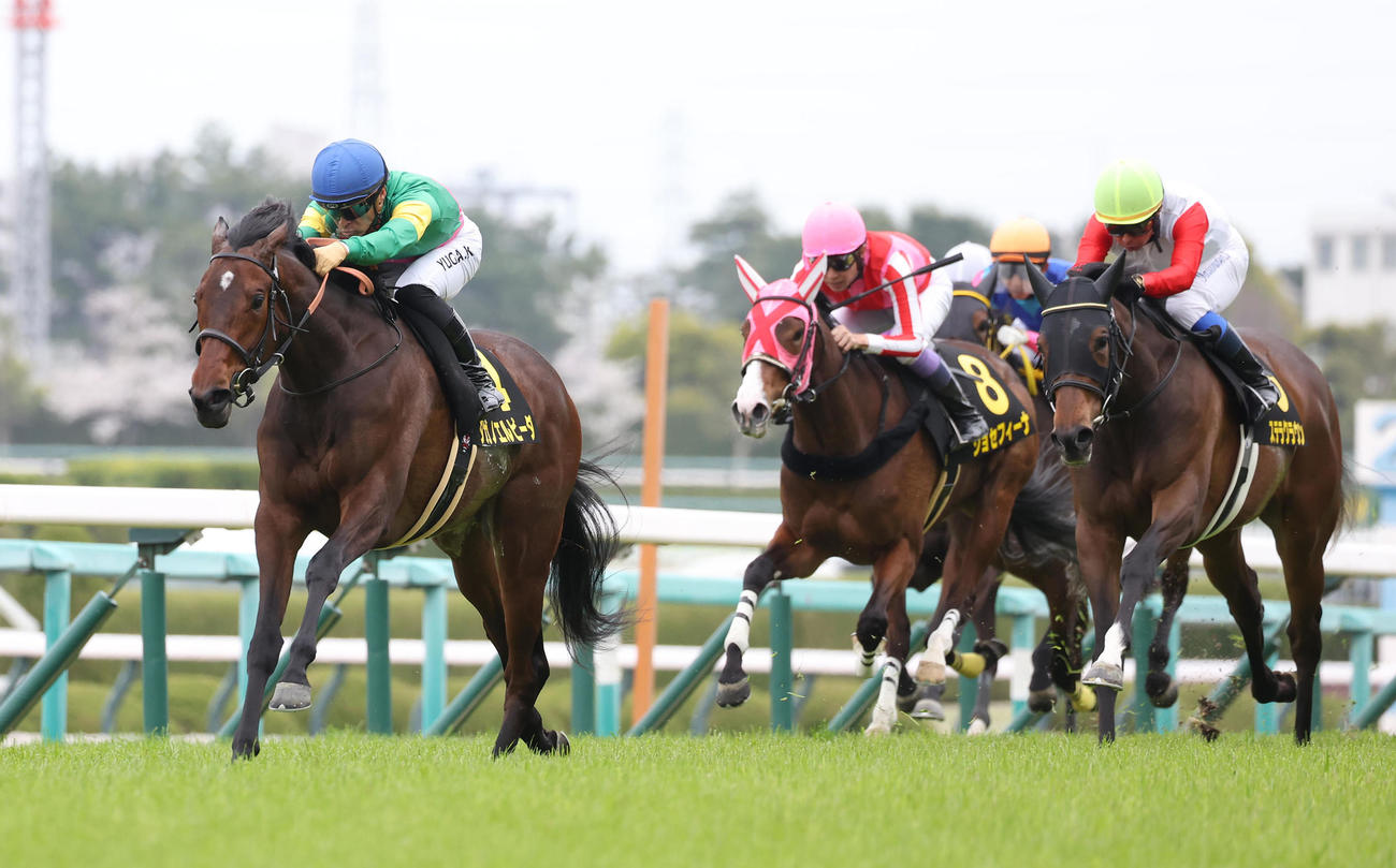 阪神9R、直線抜け出して忘れな草賞を快勝したタガノエルピーダ（左）（撮影・白石智彦）