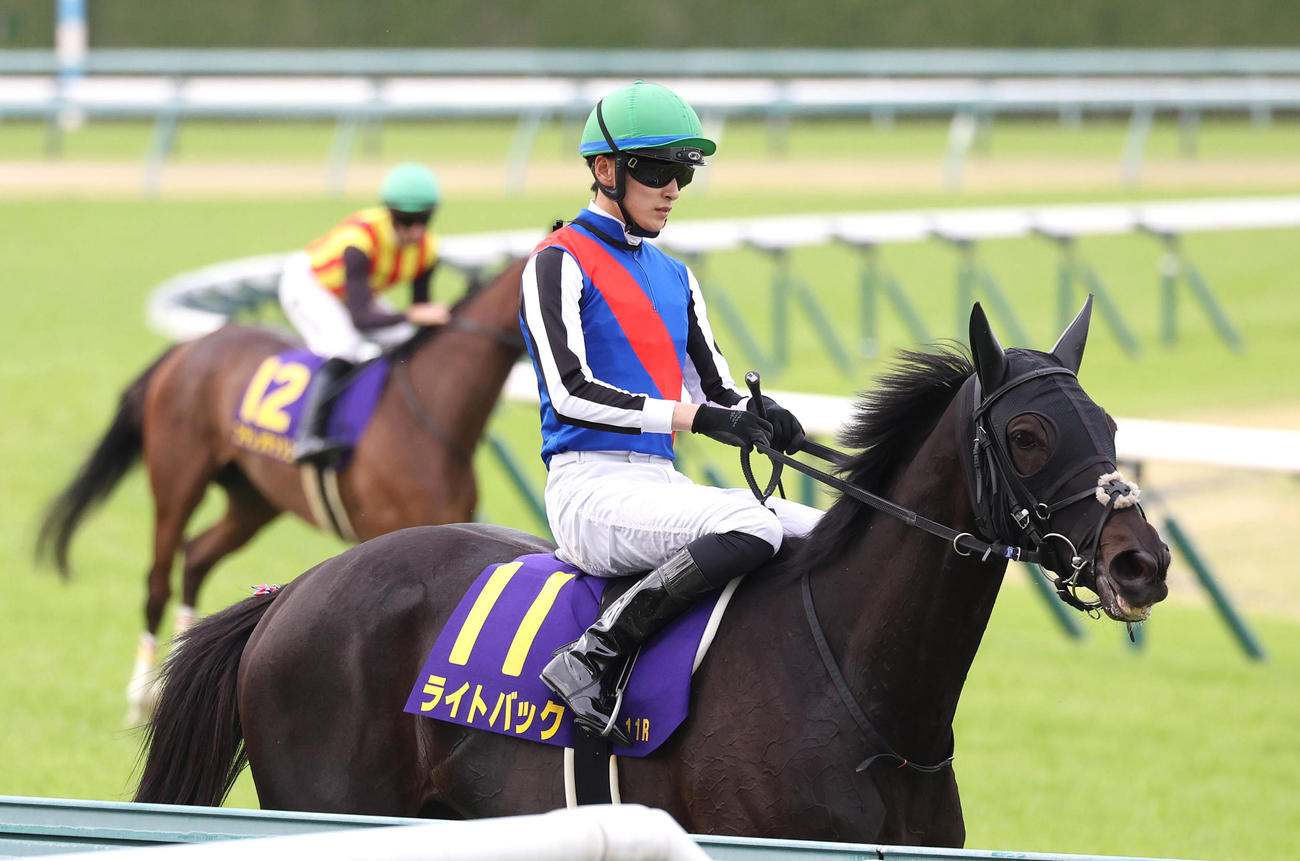 阪神11R桜花賞、3着に入ったライトバック（撮影・白石智彦）