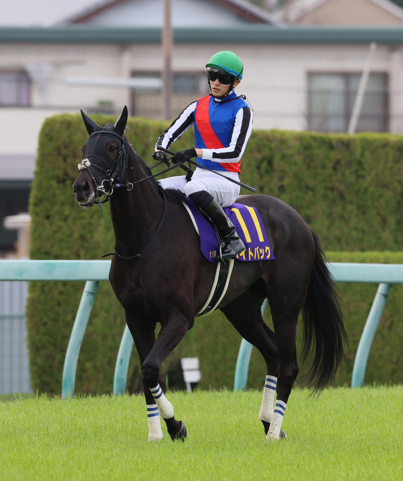 阪神11R桜花賞　3着のライトバックと坂井瑠星騎手（撮影・加藤哉）