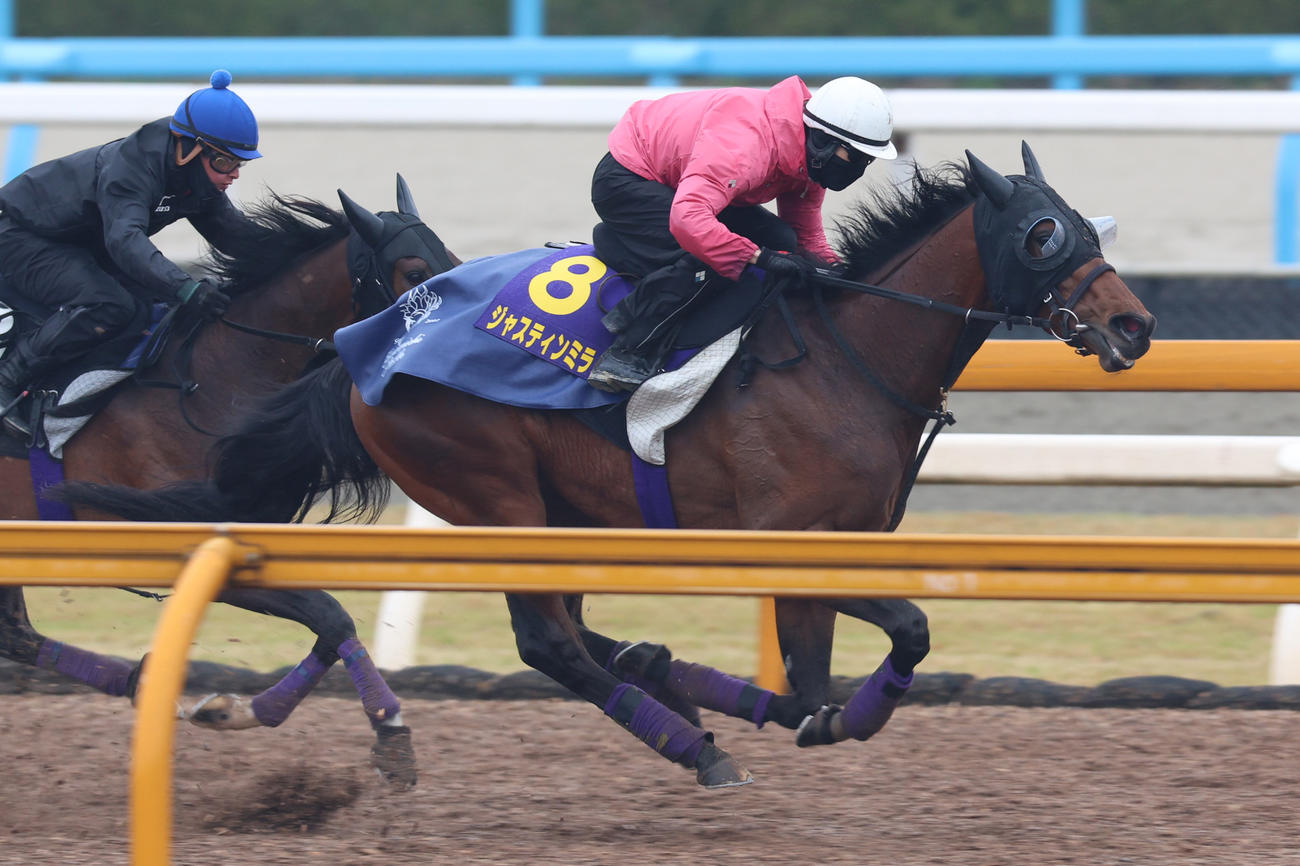 3日、1週前追い切りを行うジャスティンミラノ（右）