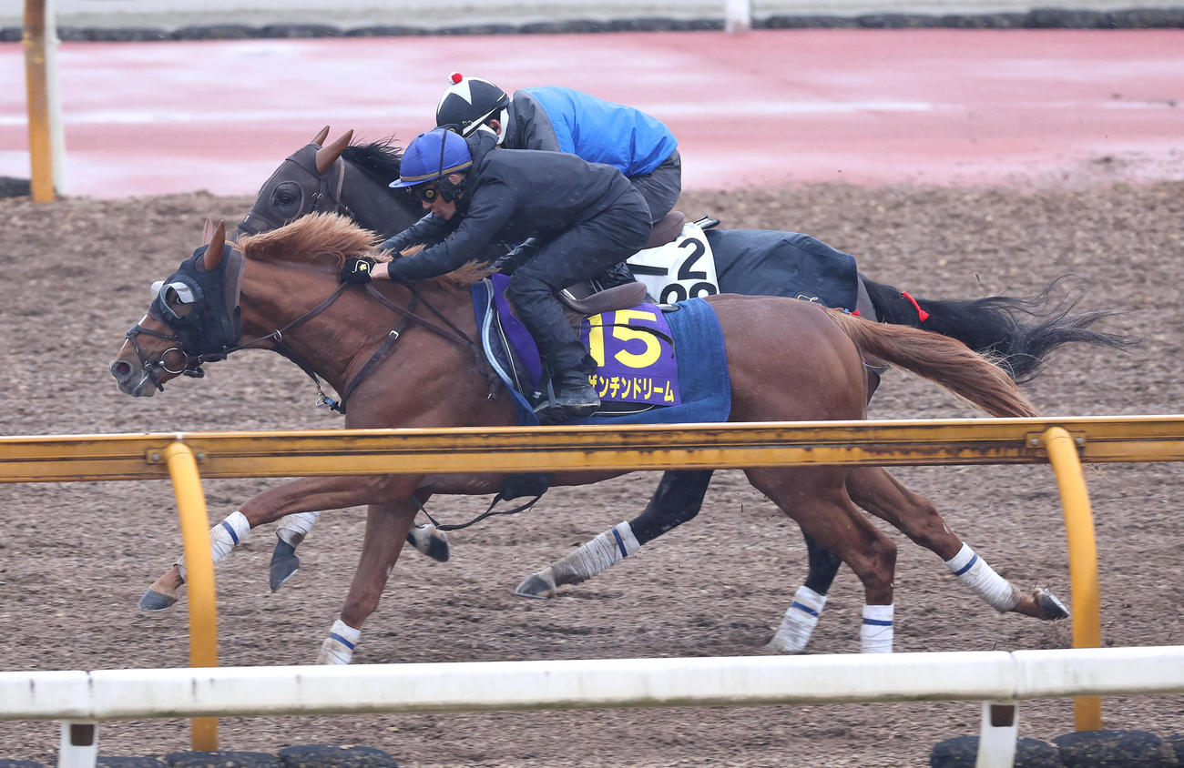 3日、Cウッドを3頭併せで追い切るビザンチンドリーム（手前）