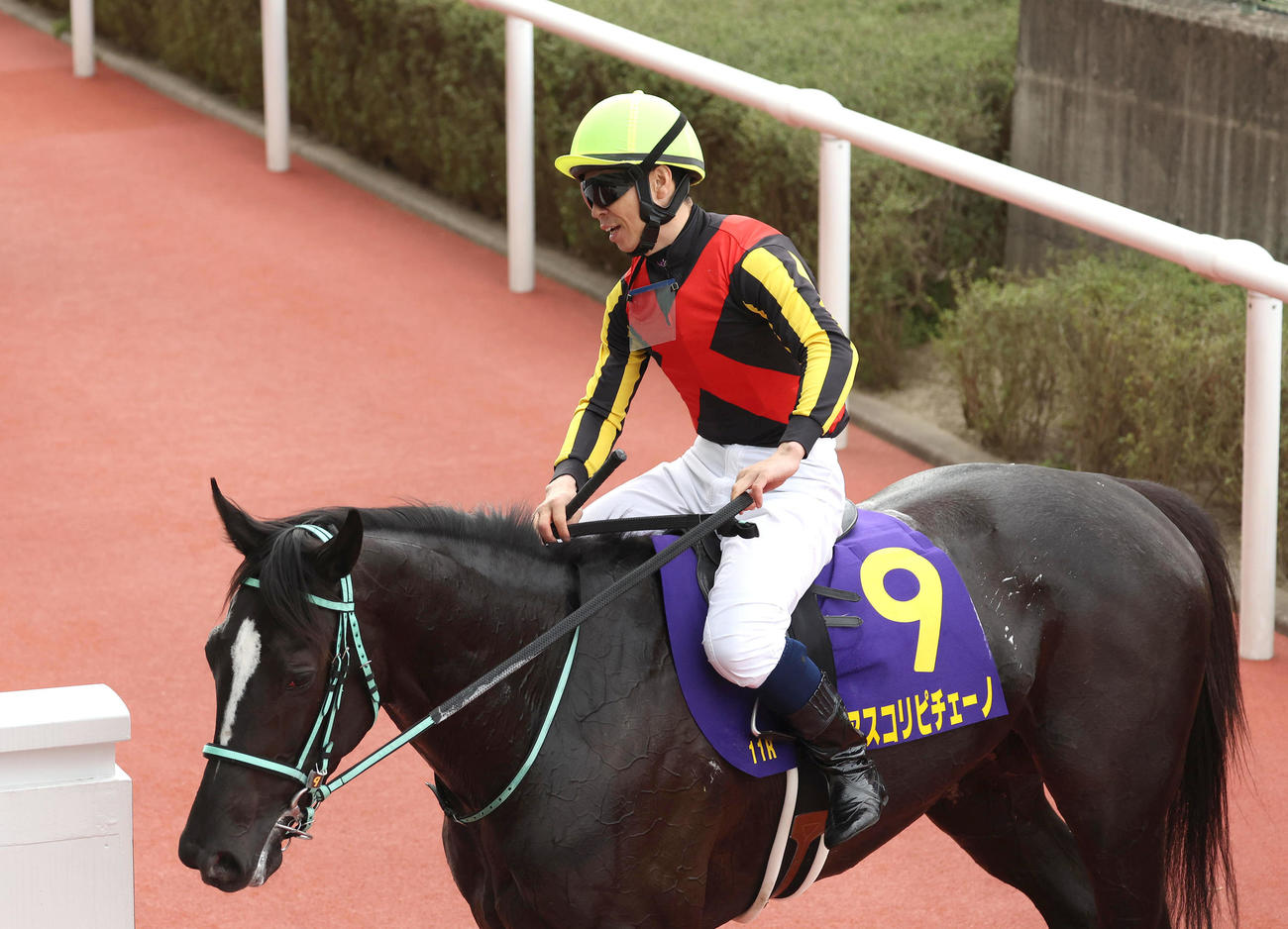 桜花賞で2着だったアスコリピチェーノ（撮影・白石智彦）
