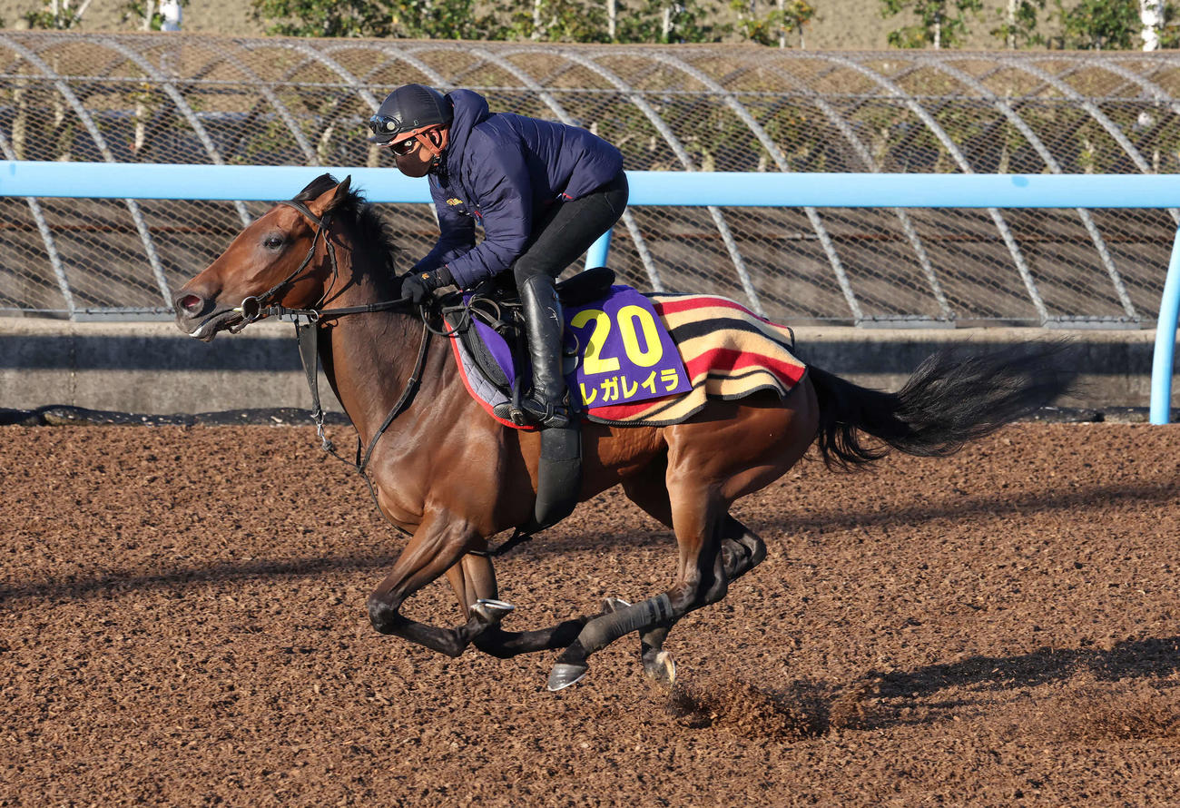 美浦ウッドで追い切ったレガレイラ（撮影・丹羽敏通）