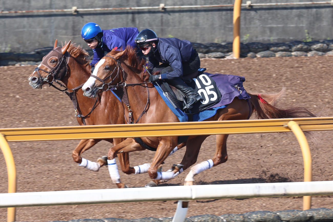 併せ馬で時計を出したビザンチンドリーム（左）