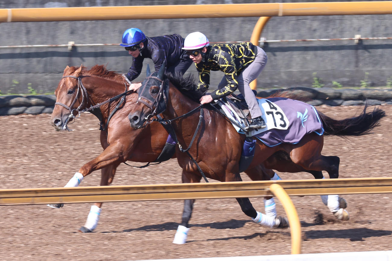 横山典騎手が騎乗し、カレンルシェルブル（手前）と馬体を併せるダノンデサイル
