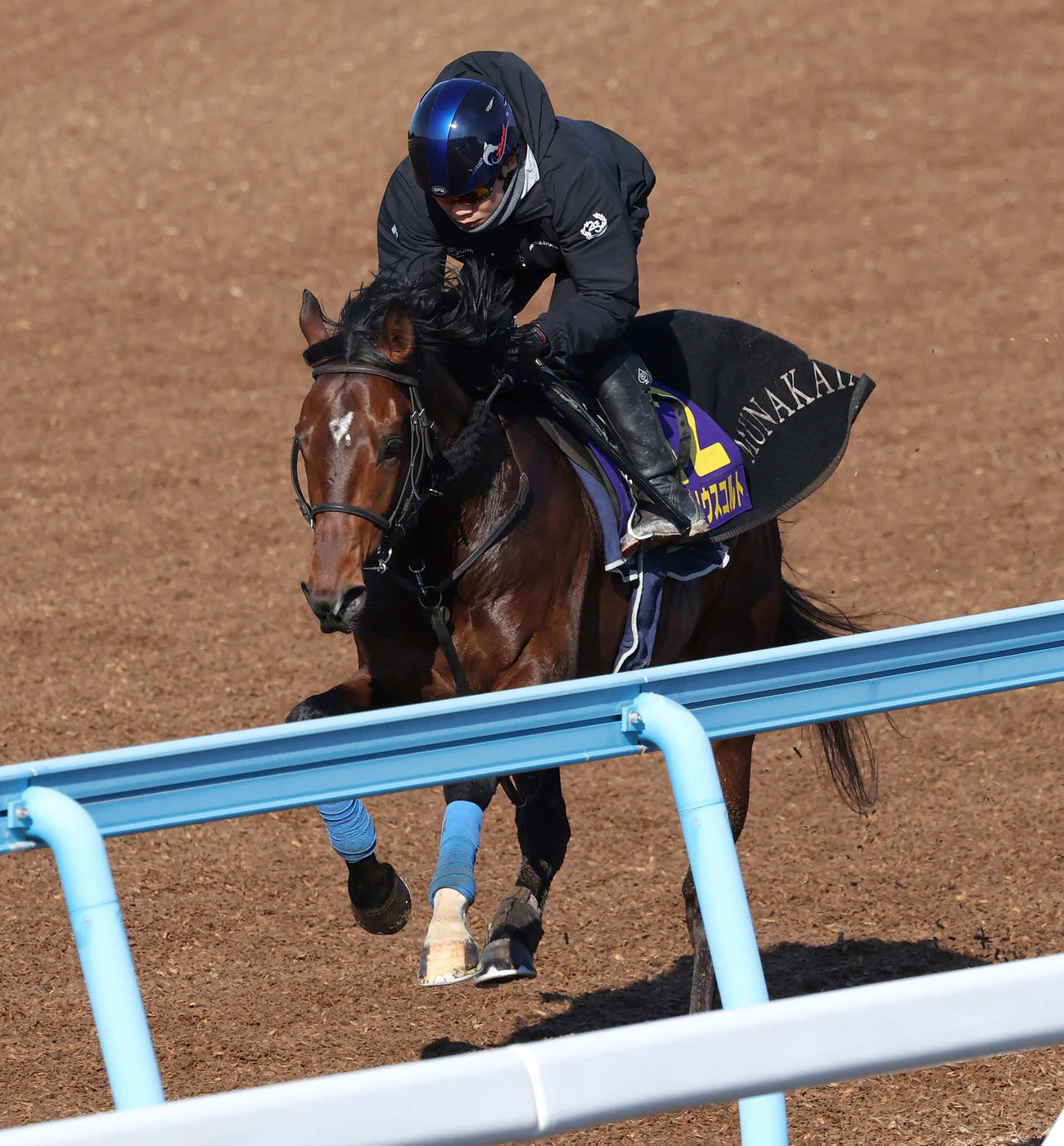 シリウスコルトは美浦ウッドを単走で追い切られた（撮影・丹羽敏通）