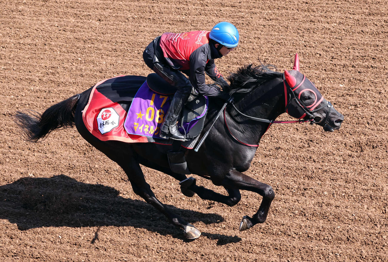 マイネルグロンは石神一騎手を背に美浦坂路を駆け上がった（撮影・丹羽敏通）