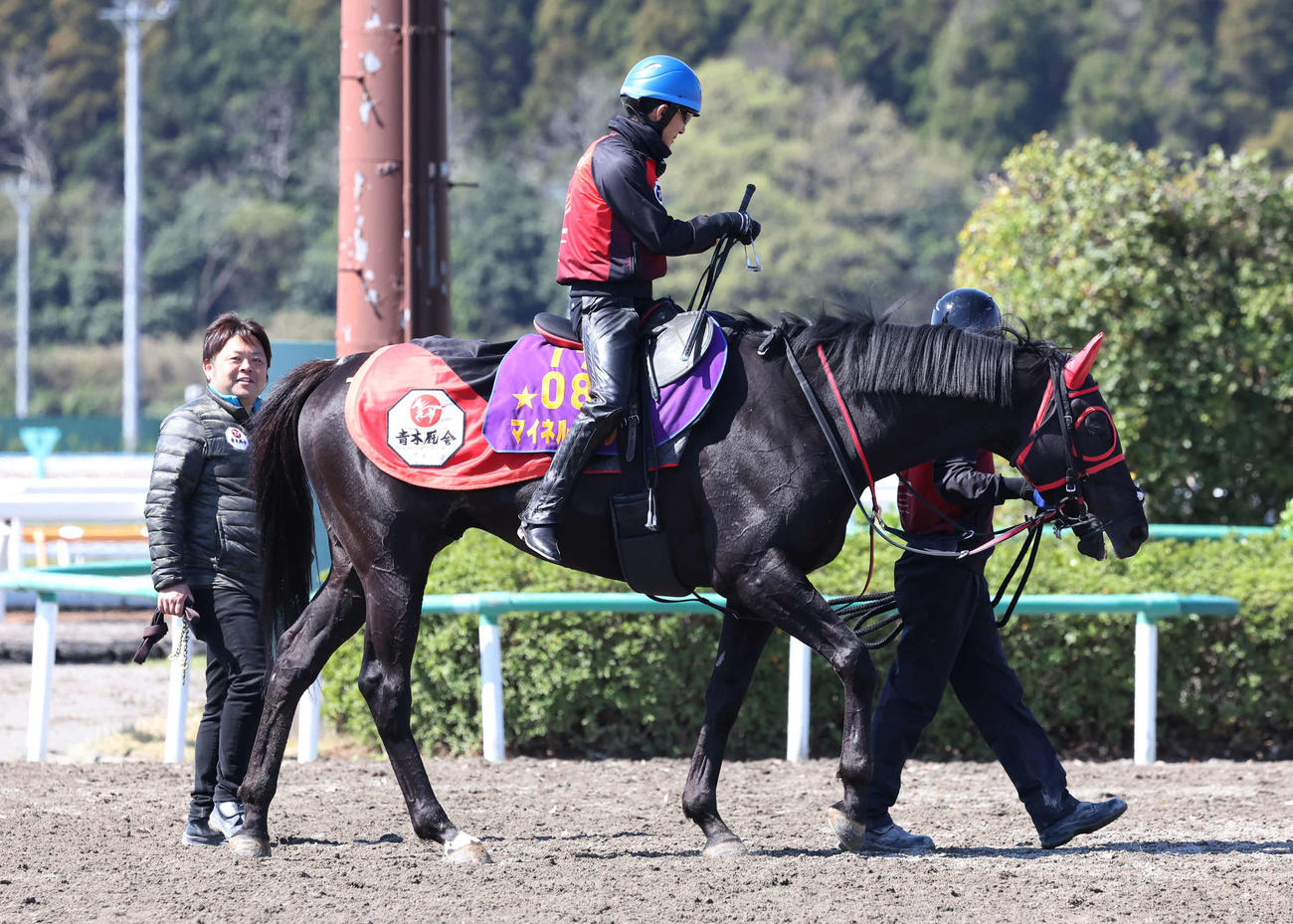 追い切りを終えて馬場を出るマイネルグロンと石神一騎手。左は青木師（撮影・丹羽敏通）