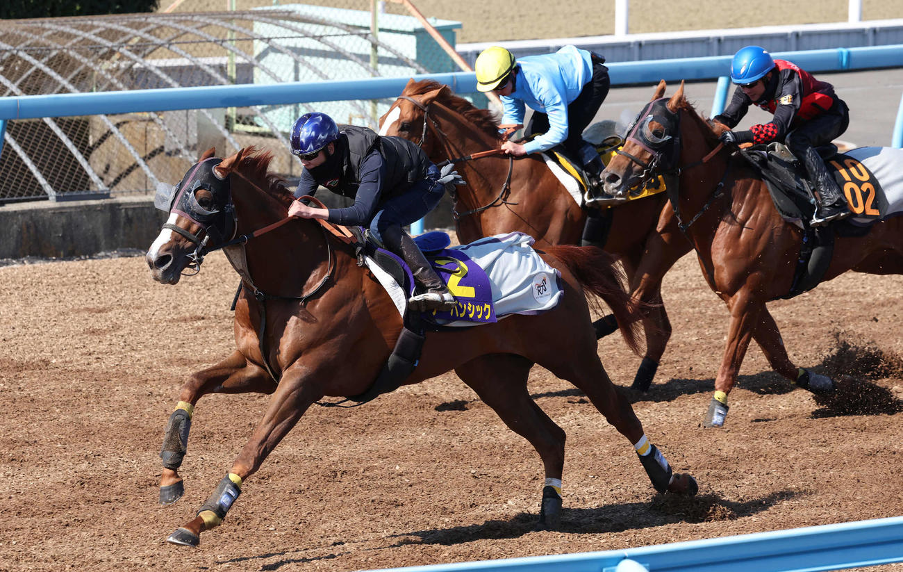 アーバンシック（手前）は横山武騎手を背に美浦ウッドの3頭併せで先着した（撮影・丹羽敏通）