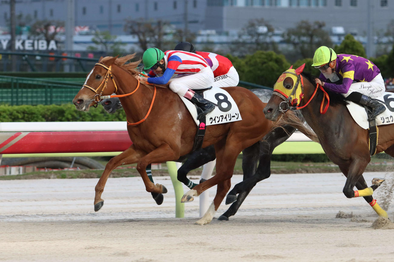 大井7R、ウインアイリーンに騎乗しデビュー17戦目で初勝利を挙げた川崎の佐野遥久騎手
