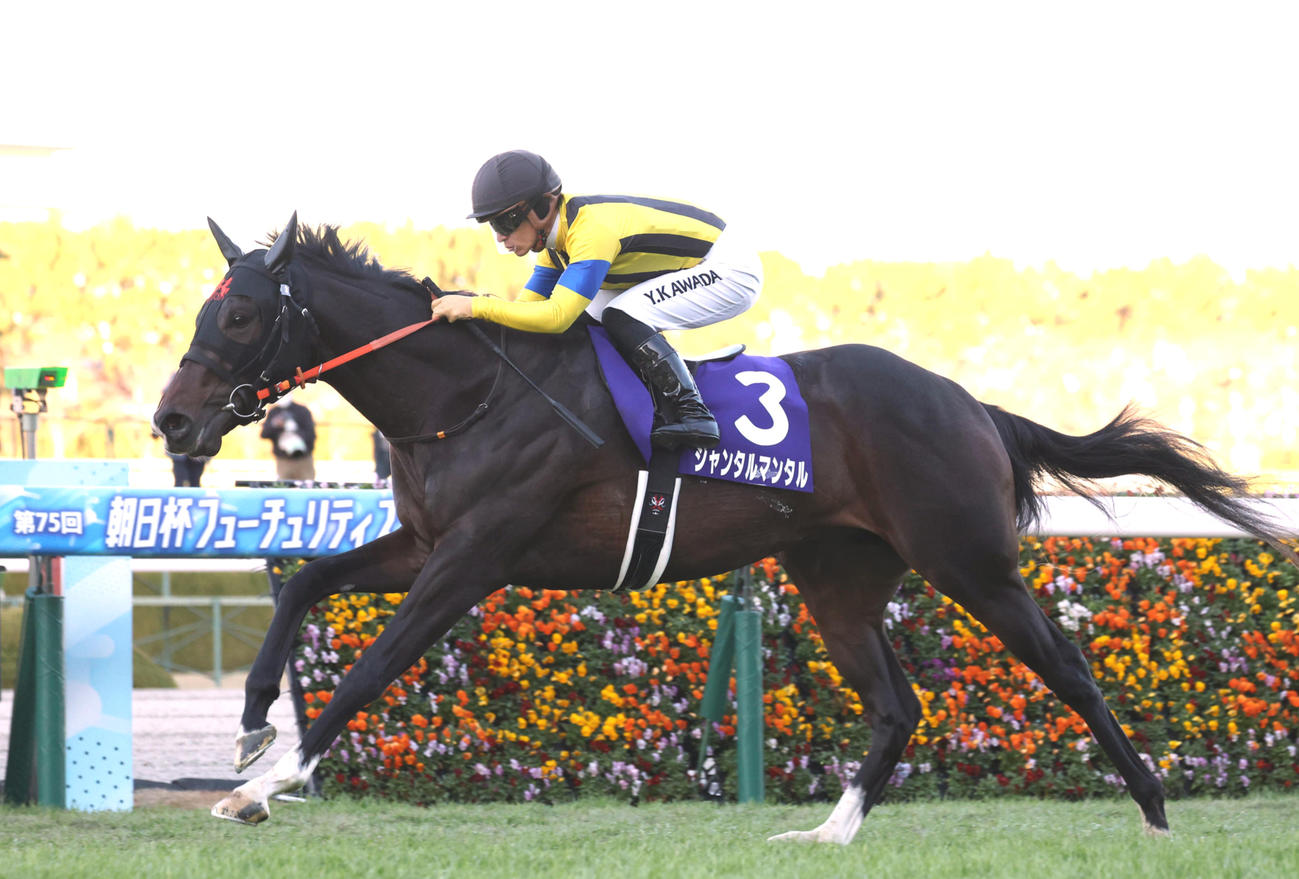 3連勝で朝日杯FSを制したジャンタルマンタル（2023年12月17日撮影・白石智彦）