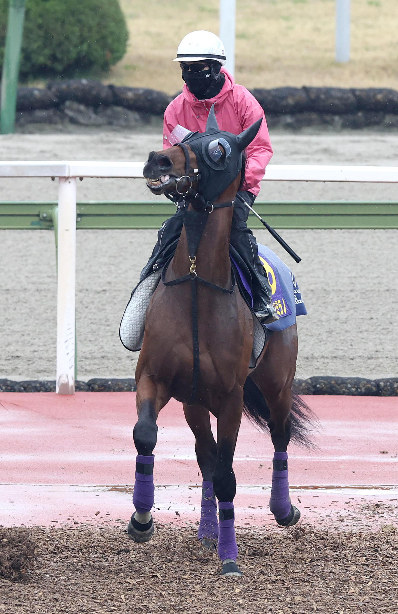 3日、ジャスティンミラノの皐月賞1週前追い切りで騎乗する藤岡康太騎手
