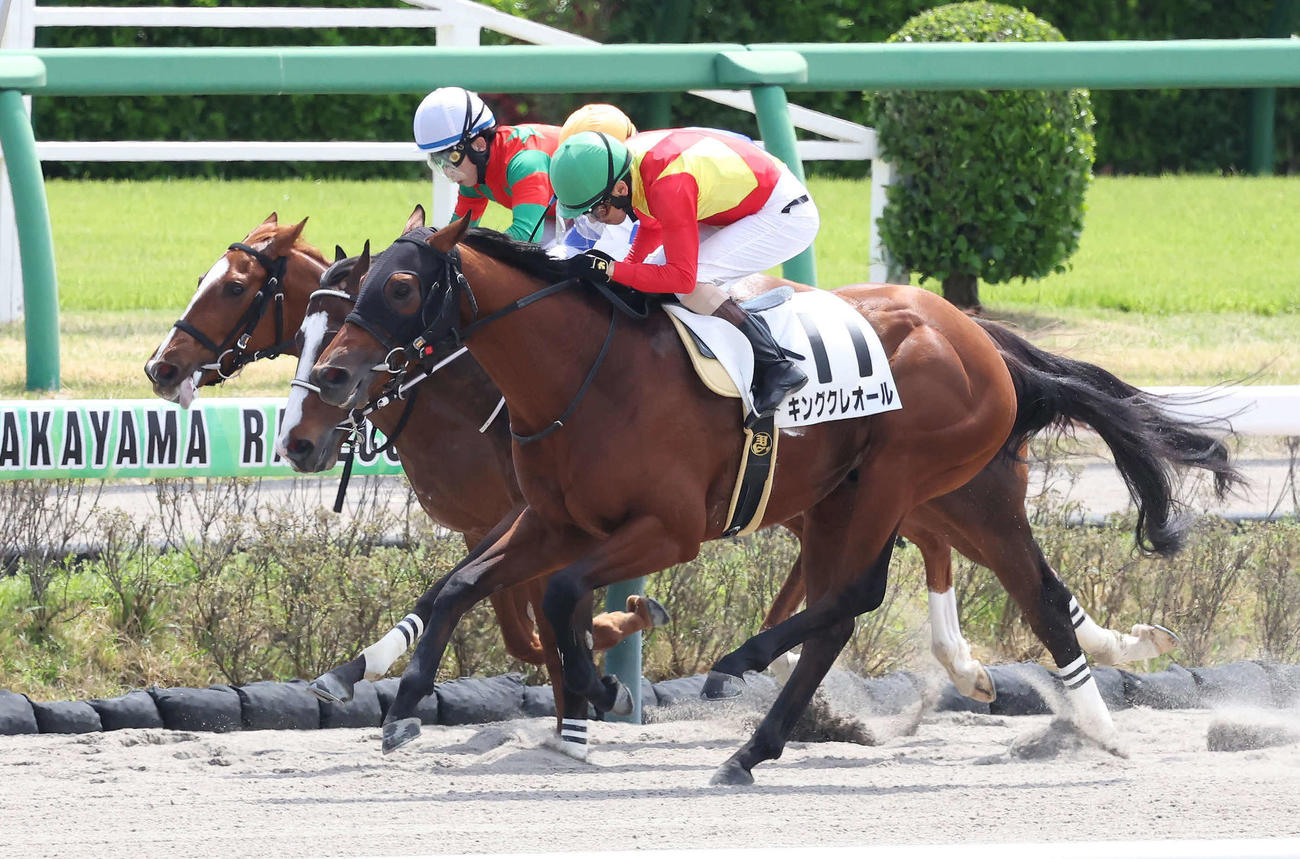 中山3R、3歳未勝利戦を制したキングクレオール（手前）（撮影・丹羽敏通）
