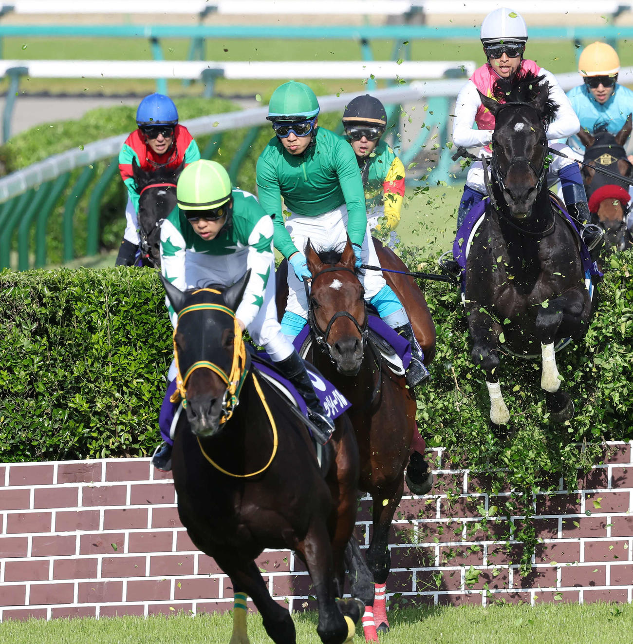 中山GJで連覇を達成したイロゴトシと黒岩騎手（手前から2頭目）。左端は6着に敗れたマイネルグロン