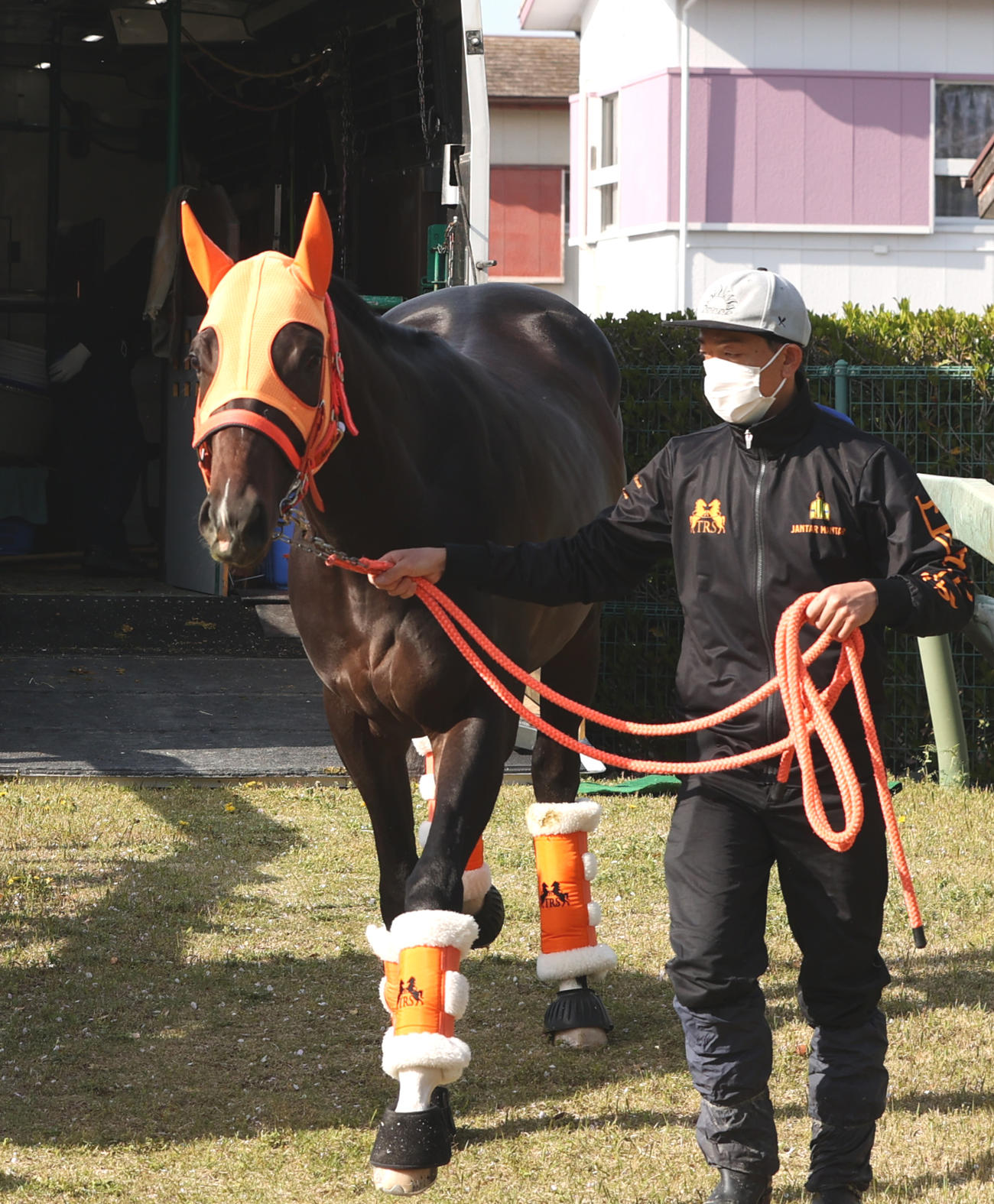 中山競馬場に到着したジャンタルマンタル（撮影・柴田隆二）