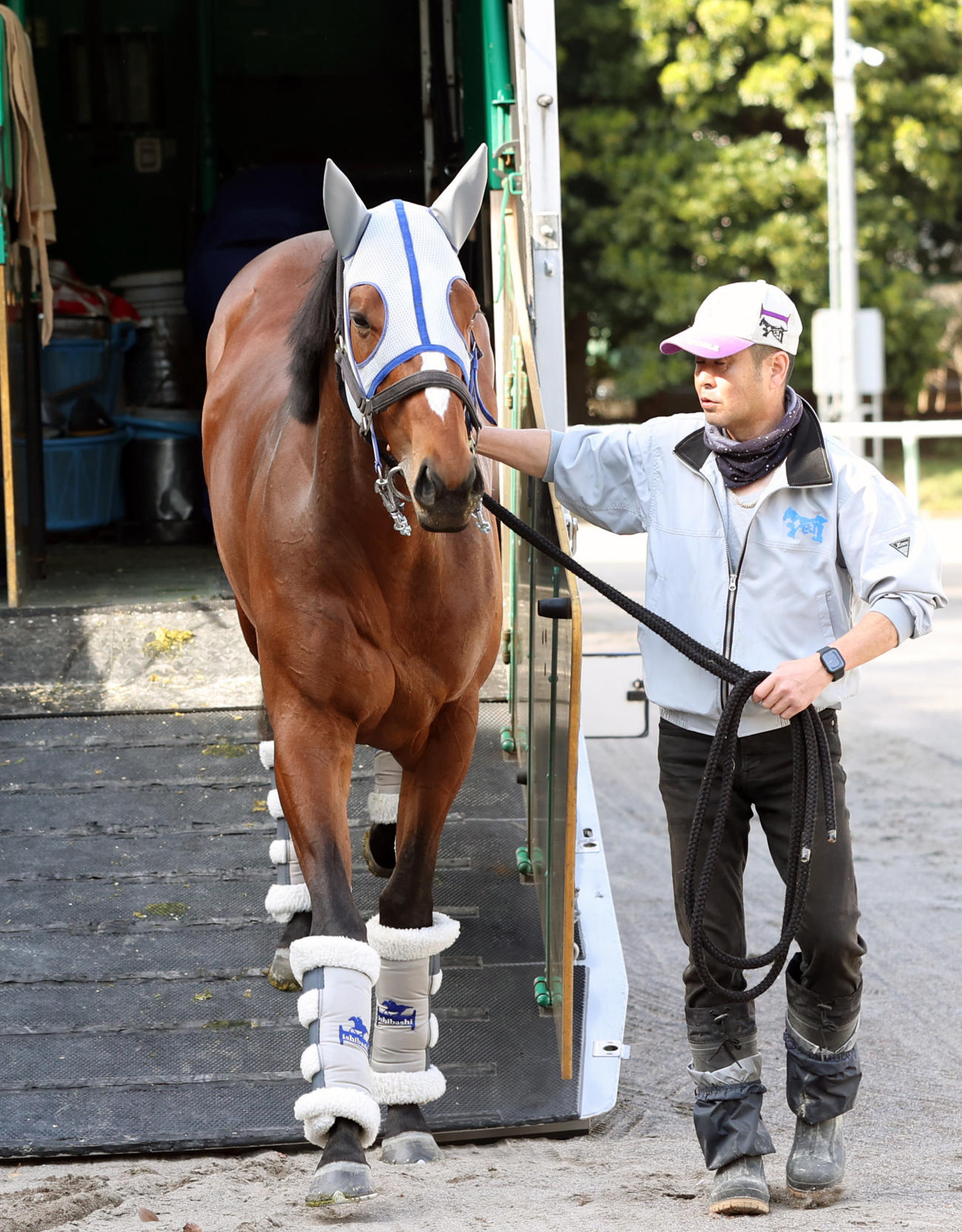 中山競馬場に到着したメイショウタバル（撮影・柴田隆二）