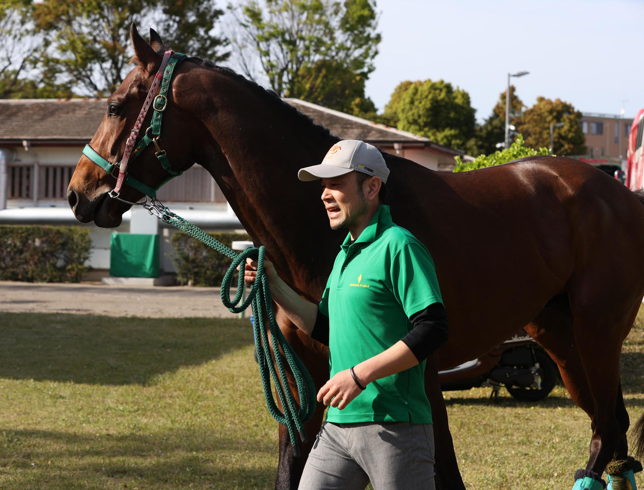 中山競馬場に到着したサンライズジパング（撮影・柴田隆二）