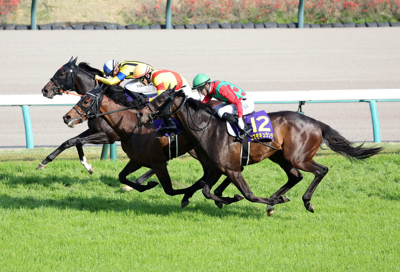 皐月賞を制したジャスティンミラノ（中央）と戸崎圭太騎手（撮影・鈴木正人）