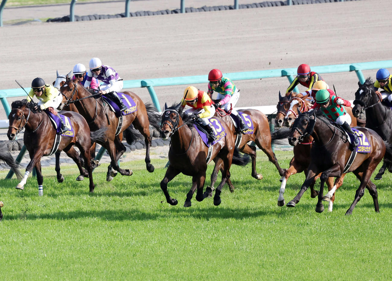 皐月賞を制したジャスティンミラノ（中央）と戸崎圭太騎手（撮影・鈴木正人）