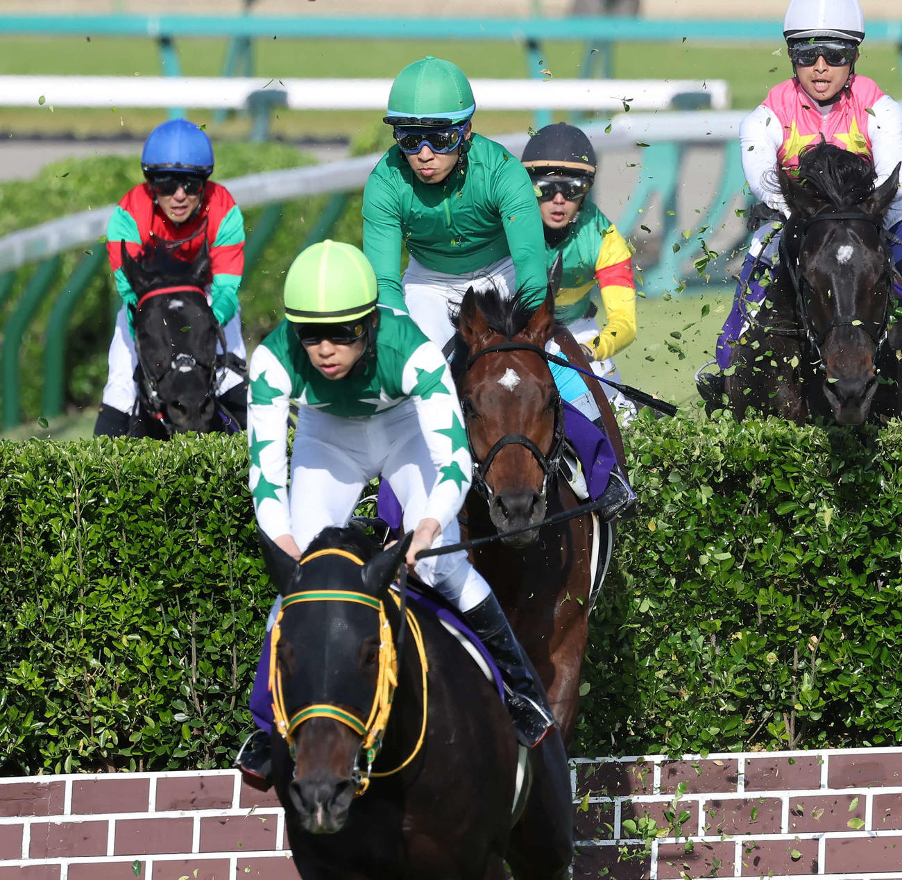 中山GJで連覇を達成したイロゴトシと黒岩騎手（手前から2頭目）。左端は6着に敗れたマイネルグロン