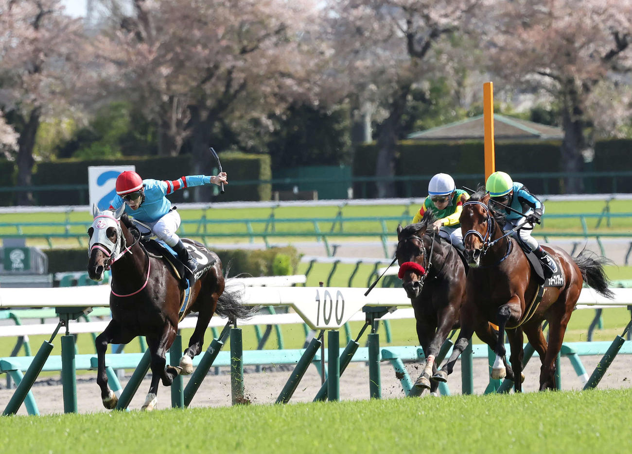 中山9R、山藤賞を制したヤマニンアドホックと津村騎手（左）（撮影・丹羽敏通）